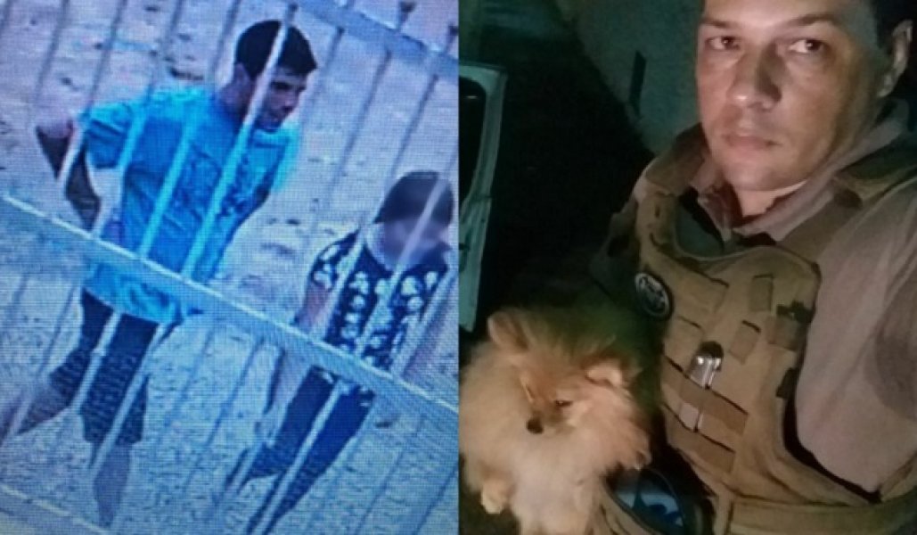 braco-do-norte-policia-recupera-cao-de-raca-apos-ser-furtado-de-residencia-1