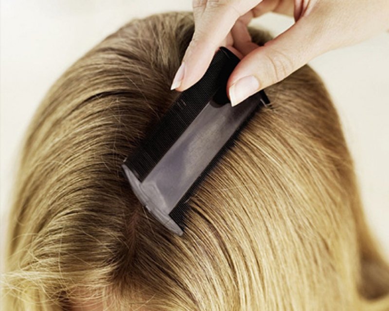 joacaba-pai-ameaca-professoras-apos-descobrir-que-as-filhas-estavam-com-piolhos-1