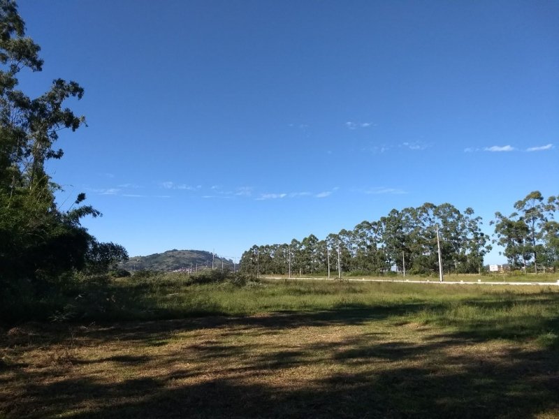 quarta-feira-tera-longos-periodos-de-aberturas-de-sol-em-santa-catarina-1