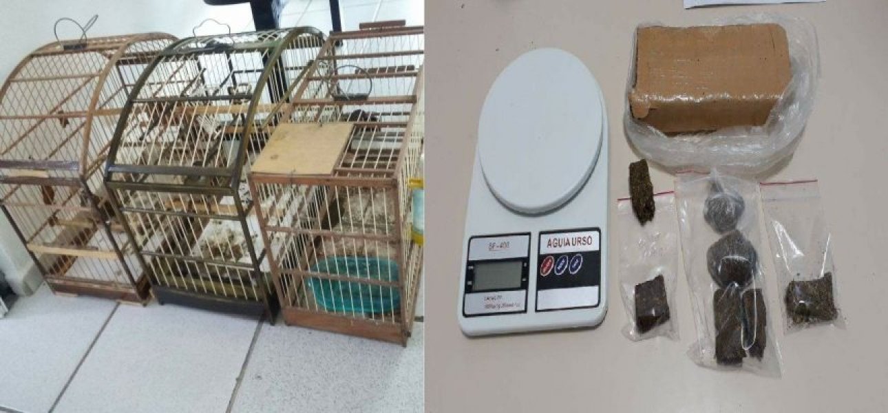 dupla-e-presa-suspeita-de-trafico-de-drogas-e-de-animais-silvestres-0 Foto: Divulgação/Notisul