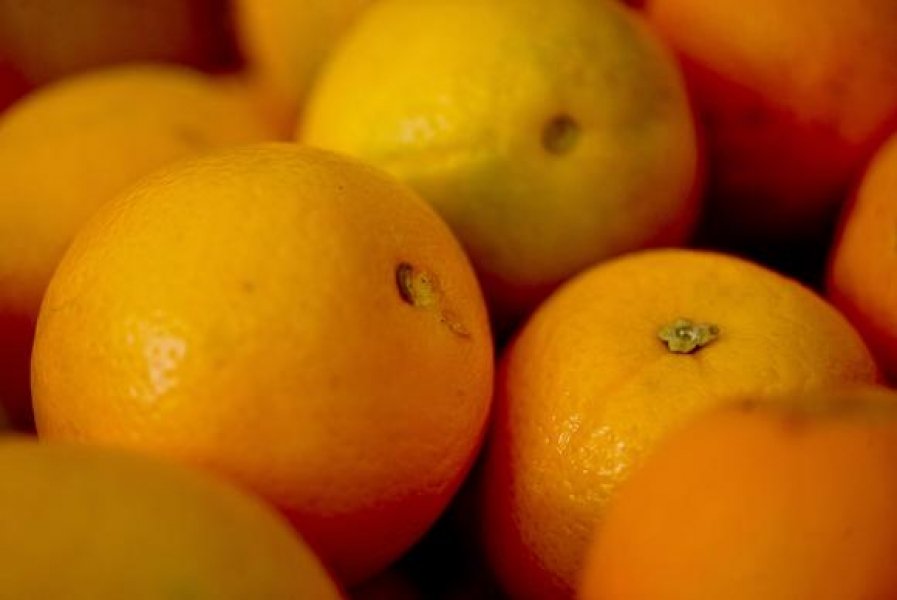 exportacao-de-frutas-cresce-183-nos-primeiros-meses-de-2018-1