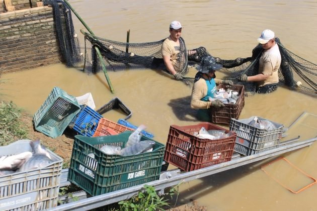 Kit para piscicultura - Foto: Divulga&ccedil;&atilde;o/Notisul