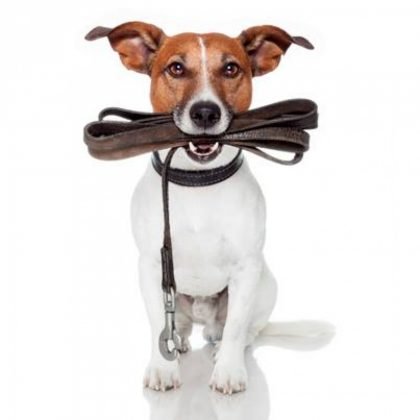 Foto: Divulga&ccedil;&atilde;o/Notisul