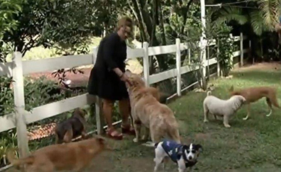 rj-justica-obriga-ex-marido-a-pagar-pensao-para-bichos-de-estimacao-1