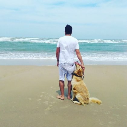 O destaque desta semana &eacute; o Apollo, um Golden de 4 anos de vida. Seu papai, Jayme Mattos, contou-me que ele adora passear, brincar com bolinhas e curtir uma praia. Muito fofo! - Foto: Divulga&ccedil;&atilde;o/Notisul