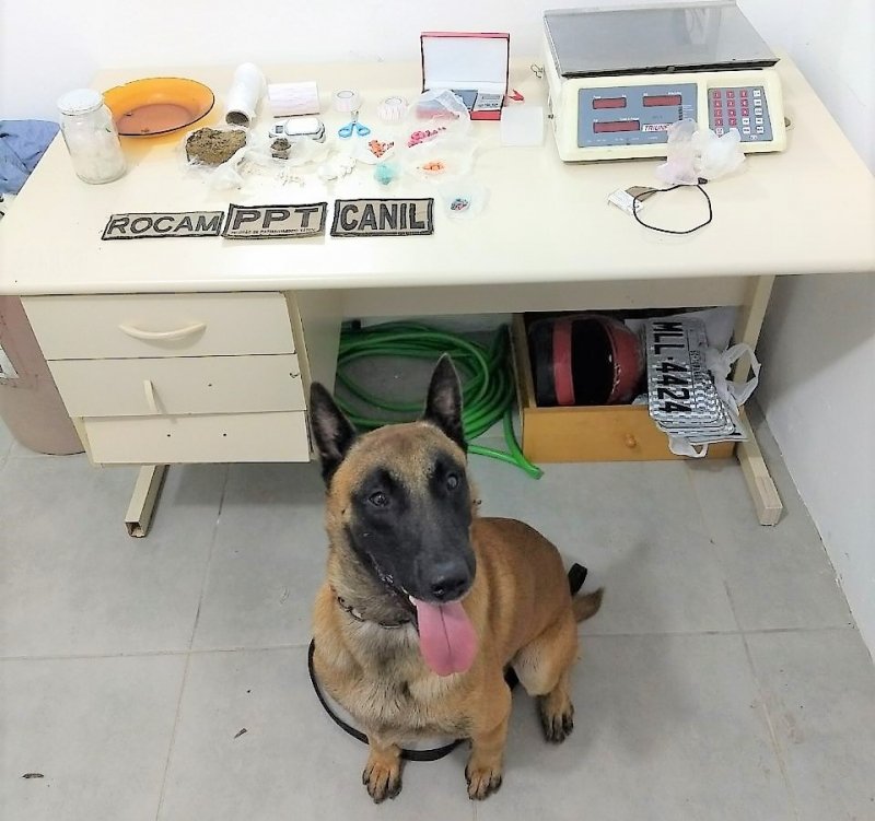 traficante-e-preso-ao-entregar-drogas-para-usuario-em-tubarao-1