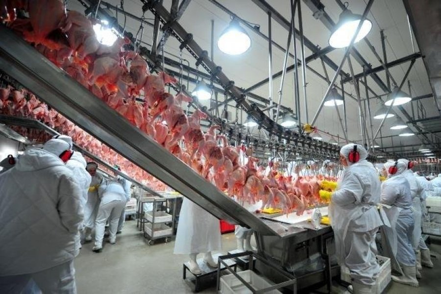 ue-veta-20-frigorificos-brasileiros-de-exportar-carne-de-aves-para-a-regiao-1