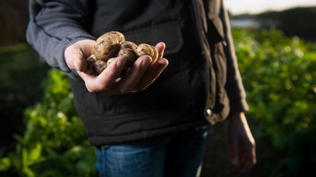 entenda-o-projeto-de-lei-que-altera-registro-de-agrotoxicos-1