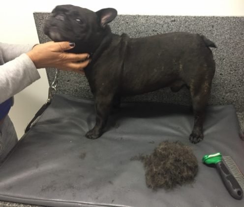 Foto: Divulga&ccedil;&atilde;o/Notisul