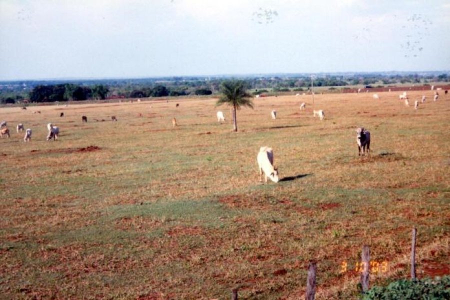 prefeituras-do-oeste-estao-transportando-agua-para-propriedades-rurais-1