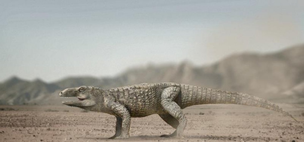 reptil-fossil-de-mais-230-milhoes-de-anos-e-identificado-no-interior-do-rio-grande-do-sul-1