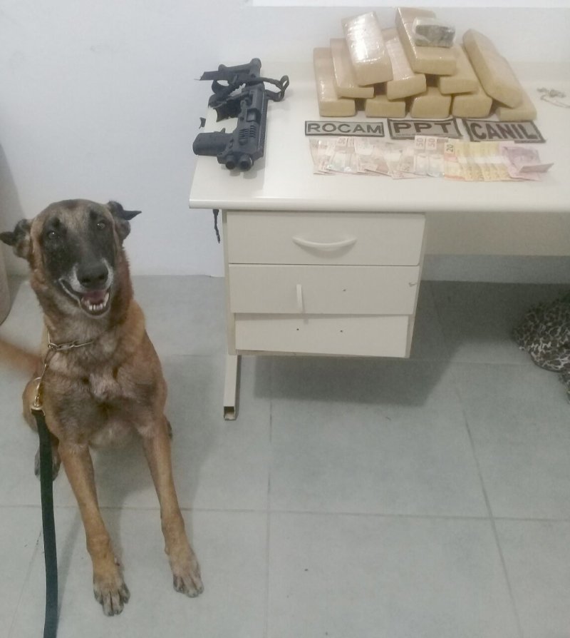 tres-sao-detidos-10-985-kg-de-maconha-sao-retirados-das-ruas-de-tubarao-apos-rapida-acao-da-policia-militar-da-cidade-0 Foto: Divulgação/Notisul