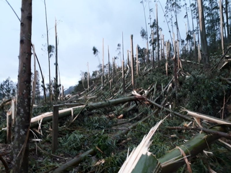 chuva-de-granizo-e-vendaval-provocam-estragos-em-taio-e-presidente-getulio-1