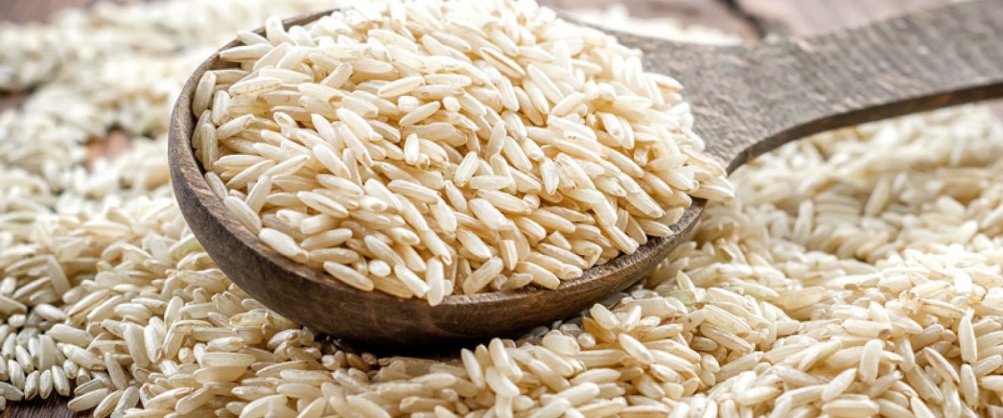 festa-do-arroz-evento-destaca-a-importancia-do-grao-para-a-economia-de-tubarao-1