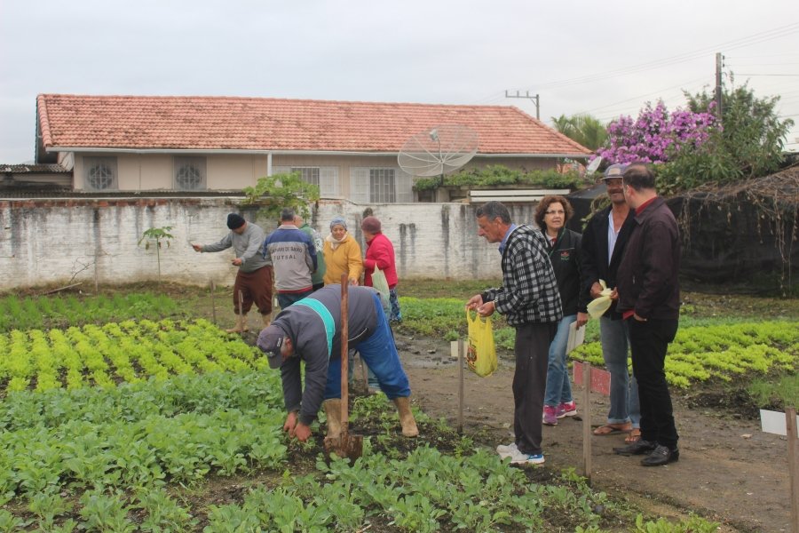 horta-comunitaria-mudas-de-hortalicas-sao-distribuidas-gratuitamente-a-populacao-1