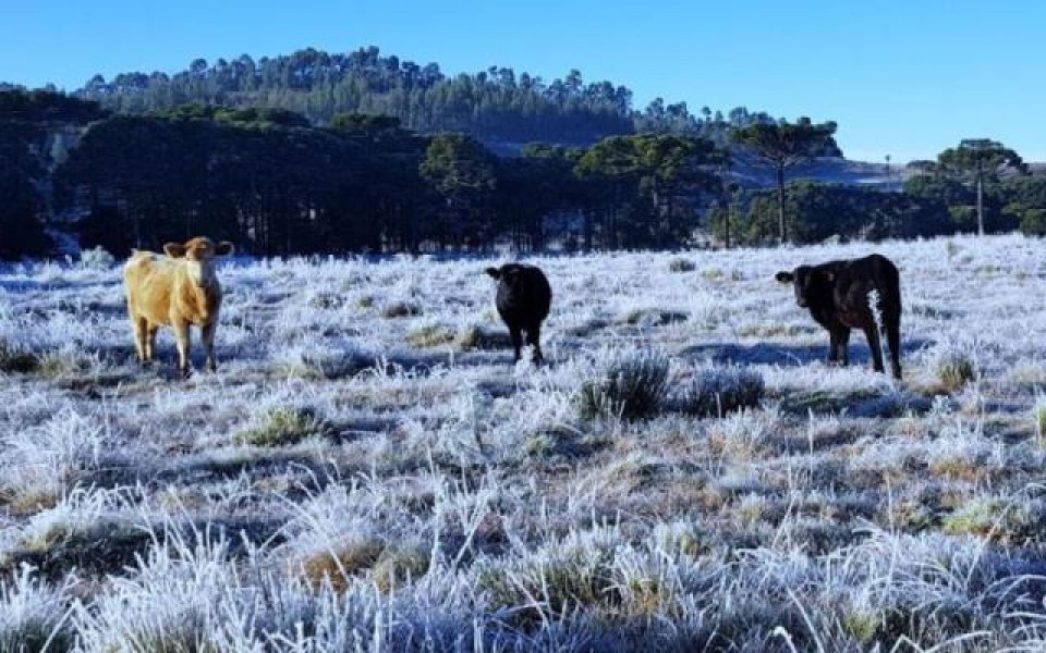 urupema-registra-a-menor-temperatura-do-ano-no-brasil-1