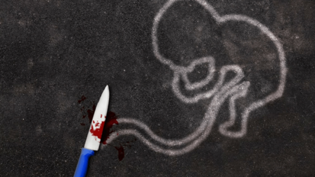 feto-e-encontrado-dentro-de-lixeira-em-predio-de-curitiba-1