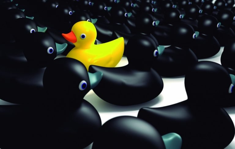 Foto: Divulgação/Notisul