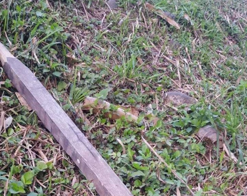 oeste-andarilhos-sao-assassinados-a-golpes-de-madeira-enquanto-dormiam-nas-margens-da-br-101-1