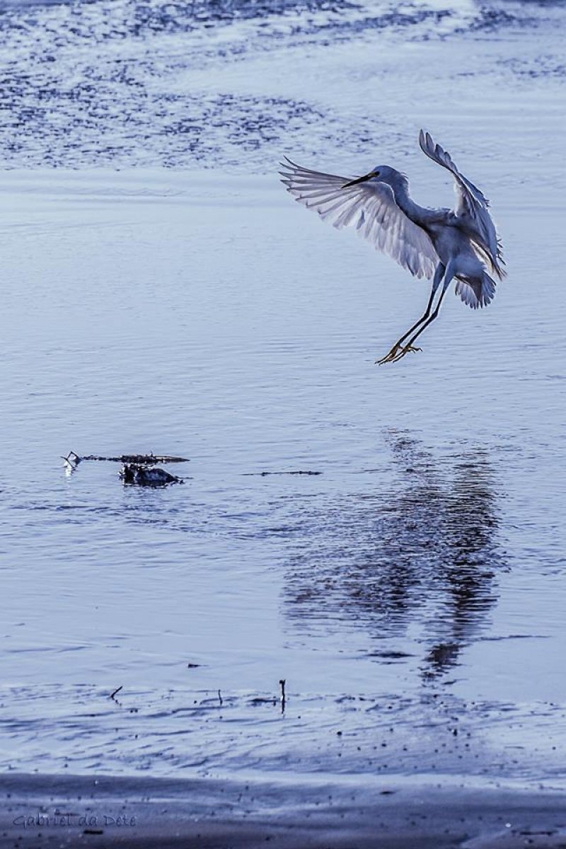 sol-volta-a-aparecer-nesta-terca-feira-em-todo-estado-1