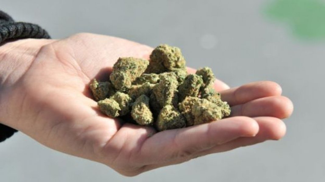 por-que-tantos-paises-estao-fazendo-as-pazes-com-a-maconha-1