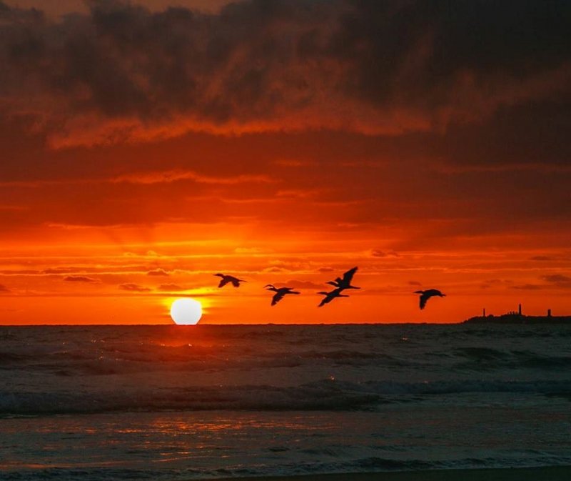 quarta-feira-sera-de-sol-com-muitas-nuvens-em-toda-santa-catarina-1 Foto: Wilson Schuelter/ Amanhecer desta quarta-feira, em Laguna