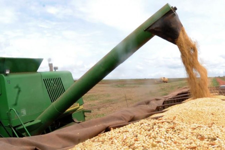 brasil-aumenta-produtividade-de-graos-na-safra-2018-2019-1