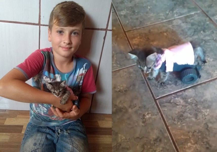 menino-faz-carrinho-para-gata-andar-novamente-e-comove-0