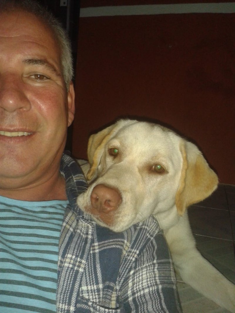 space-a-cachorrinha-que-defendeu-o-dono-segue-internada-e-esta-fora-de-perigo-1