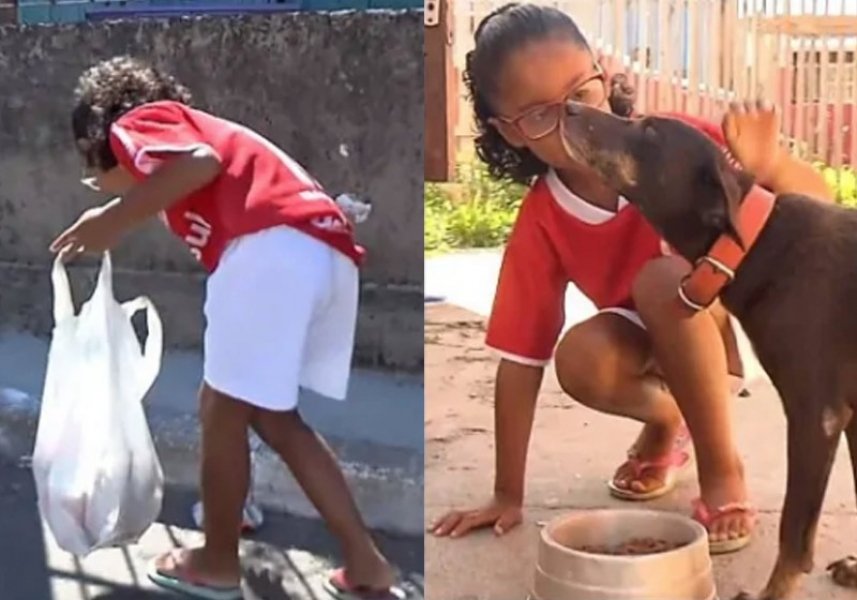 menina-cata-latinhas-compra-racao-para-caes-de-rua-e-tem-surpresa-1