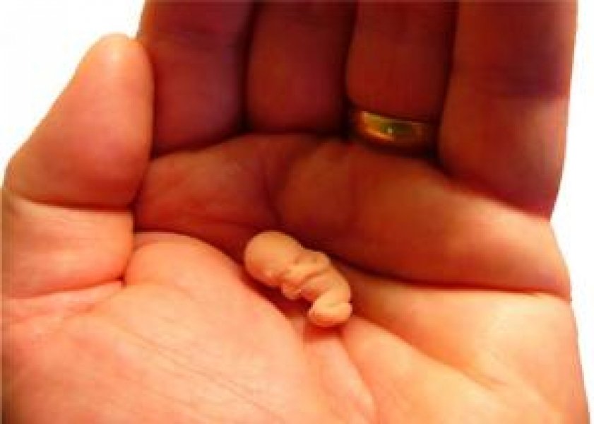 senado-desengaveta-projeto-que-proibe-aborto-em-qualquer-situacao-1