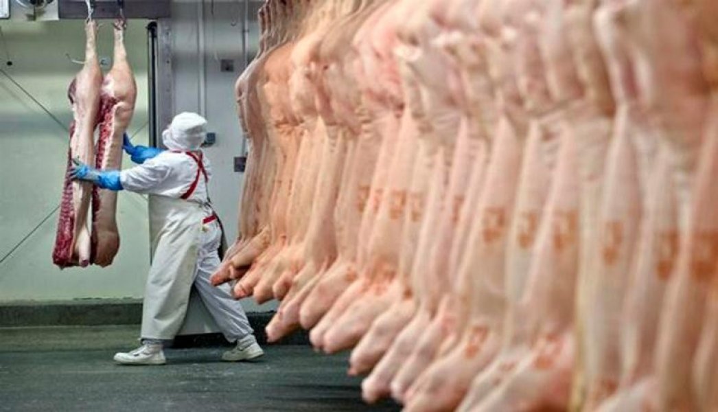 santa-catarina-segue-com-saldo-positivo-nas-exportacoes-de-carnes-1