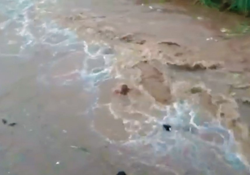 educador-enfrenta-correnteza-para-salvar-cao-que-se-afogava-1