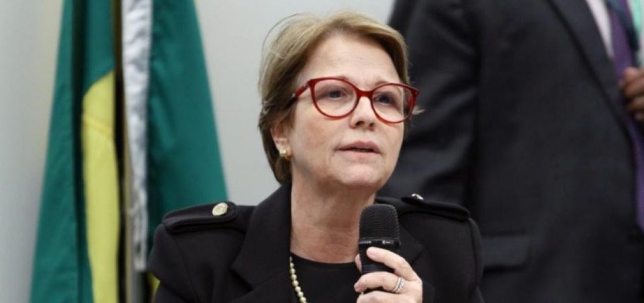 ministra-da-agricultura-diz-que-brasileiro-nao-passa-muita-fome-porque-tem-muita-manga-1