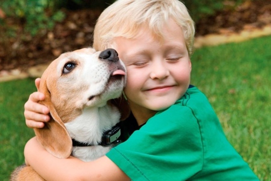 voce-deixa-de-viajar-por-nao-ter-com-quem-deixar-seu-animalzinho-conheca-o-texto-que-viralizou-na-rede-1