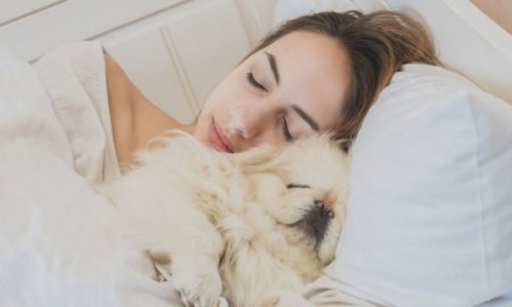 dormimos-melhor-com-nossos-animais-de-estimacao-do-que-com-parceiros-romanticos-revela-estudo-0