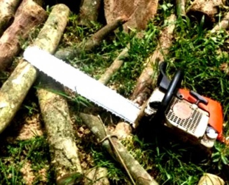 em-sc-homem-morre-apos-ser-atingido-por-arvore-1