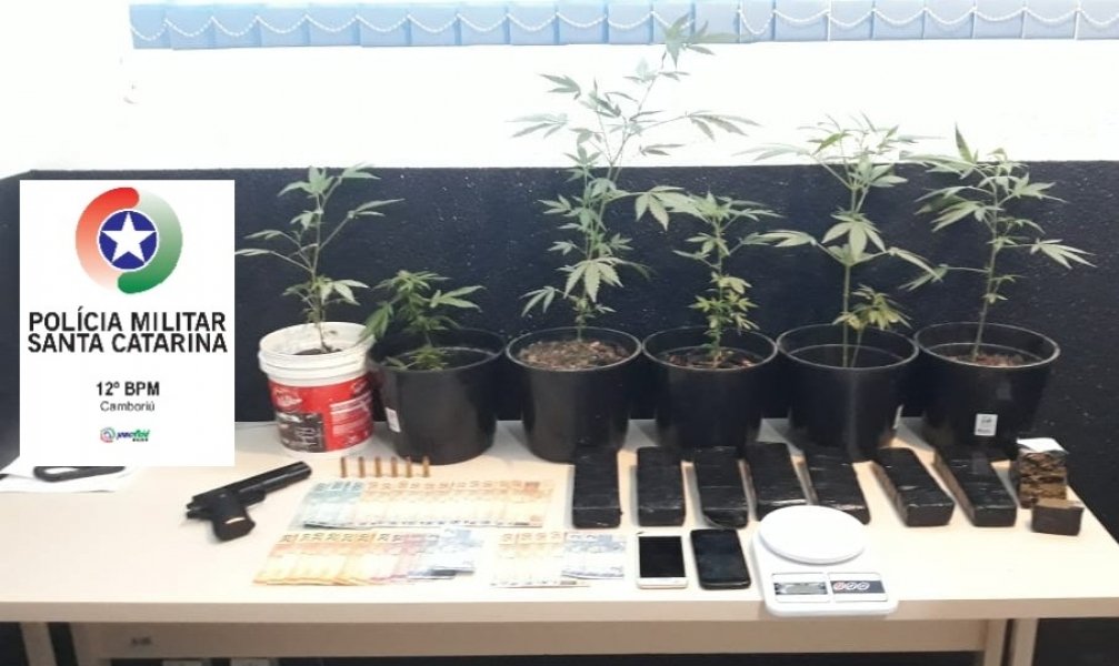 em-sc-jovem-e-preso-e-menor-apreendido-com-plantacao-de-maconha-e-simulacro-de-arma-1
