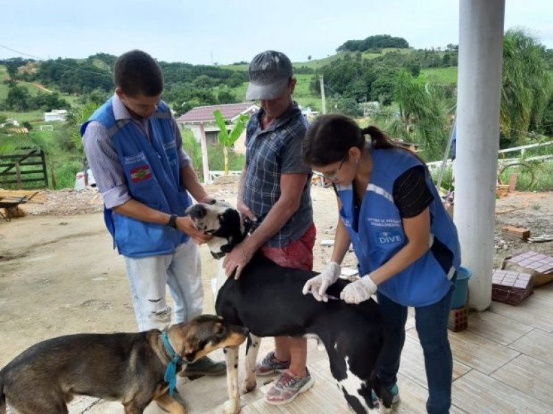 no-sul-do-estado-38-mil-animais-recebem-vacina-contra-a-raiva-1