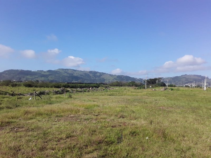 semana-comeca-com-sol-em-sc-1