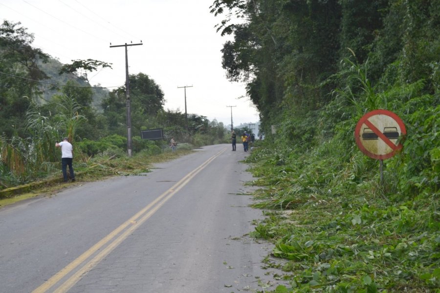 mutirao-de-limpeza-e-executado-por-moradores-na-sc-108-1