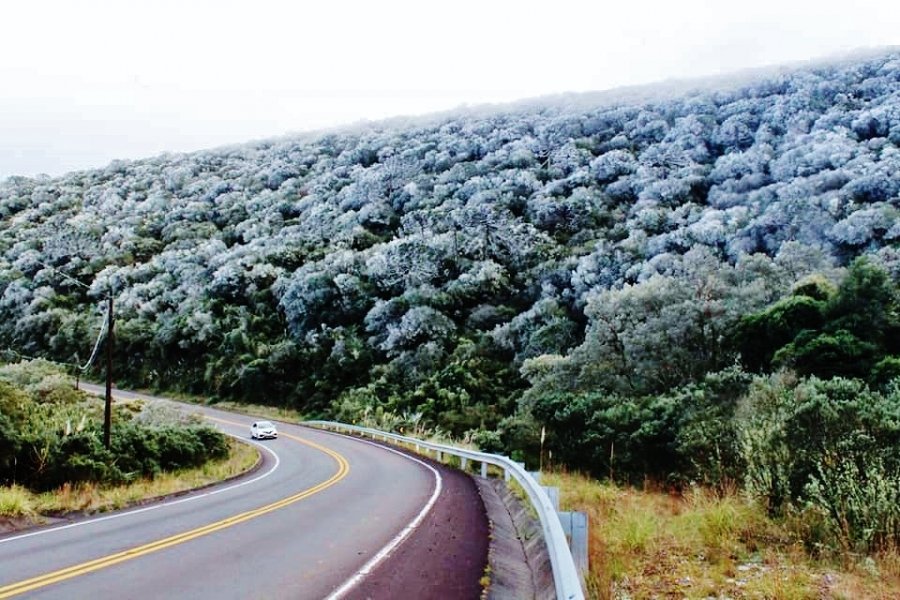 defesa-civil-de-sc-alerta-para-frio-recorde-nos-ultimos-40-anos-1