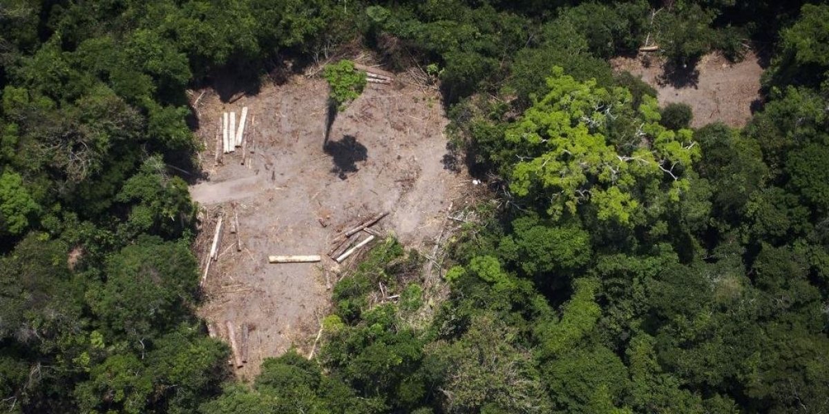 alemanha-corta-aporte-de-r-155-milhoes-ao-fundo-amazonia-1