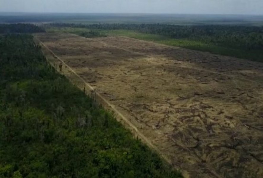 depois-da-alemanha-noruega-suspende-financiamento-do-fundo-amazonia-1