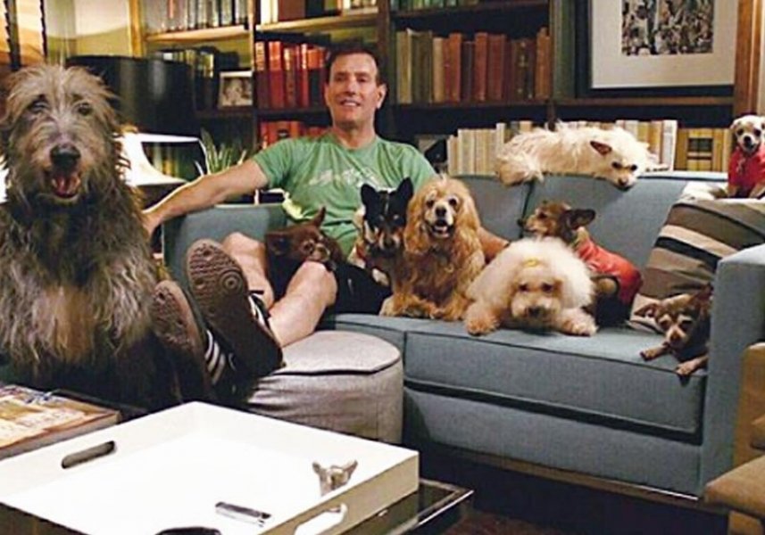 homem-adota-caes-idosos-de-abrigos-que-ninguem-quer-1