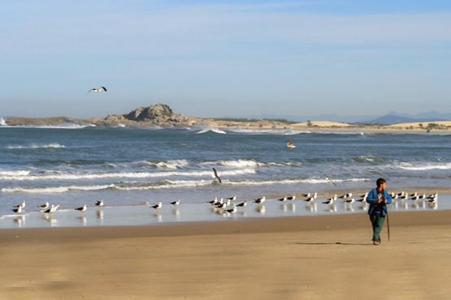 tj-confirma-que-municipio-de-laguna-deve-fechar-acessos-de-carros-a-praia-do-cardoso-1