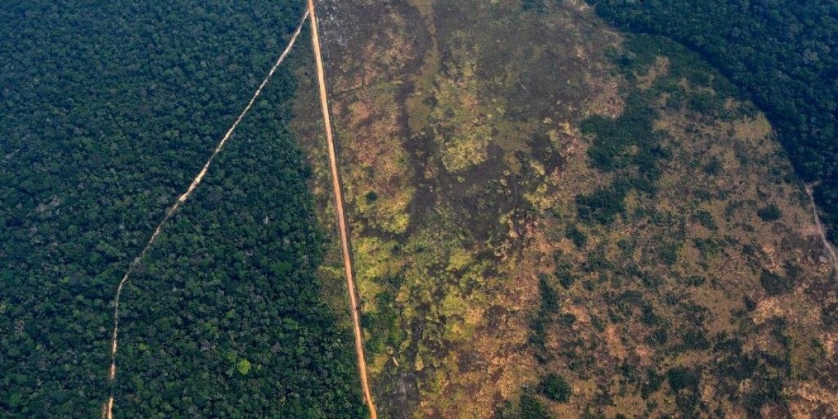 trump-oferece-ajuda-a-bolsonaro-para-controlar-incendios-na-amazonia-1