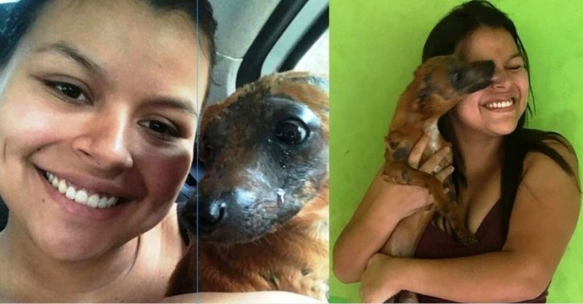 caozinho-que-foi-queimado-por-antiga-dona-chora-ao-ser-adotado-1