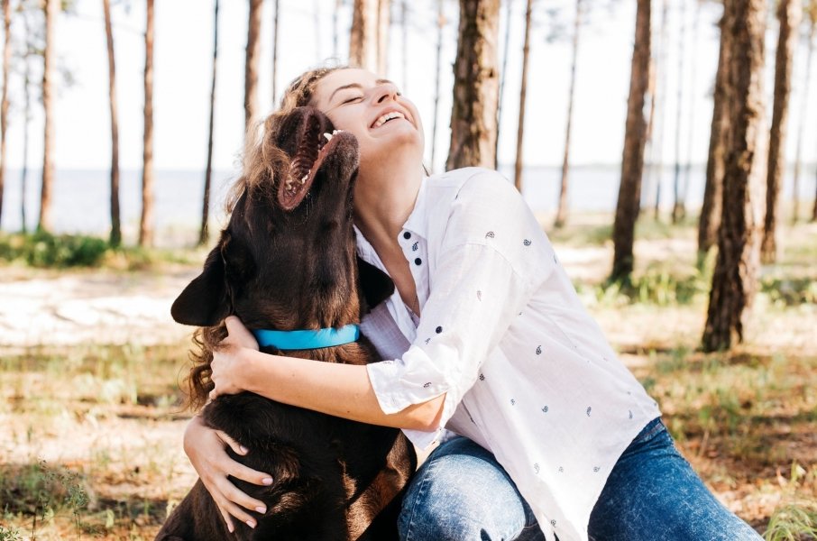 castrar-seu-pet-tambem-e-um-ato-de-cuidado-1