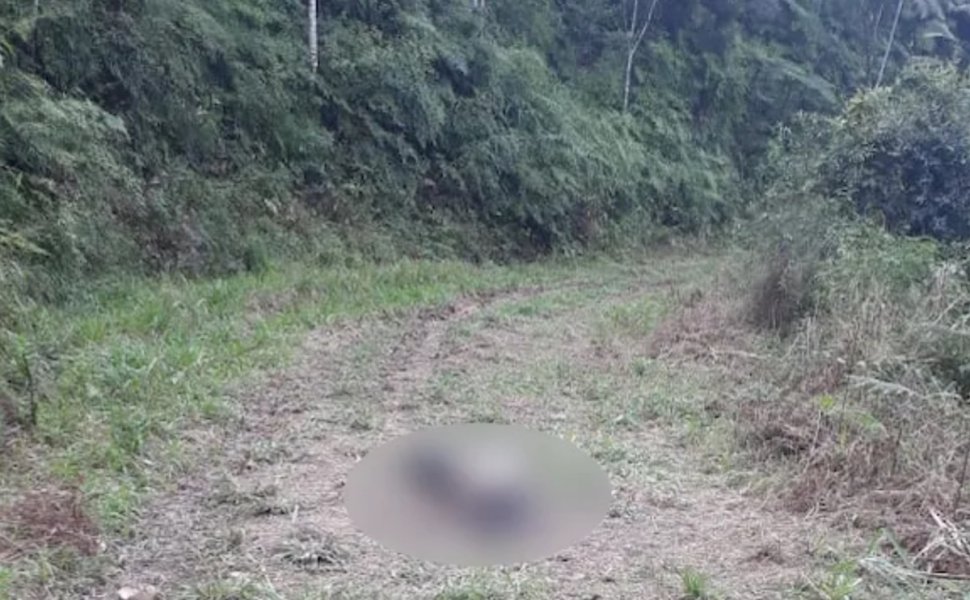 corpo-de-mulher-e-encontrado-decapitado-em-sc-0